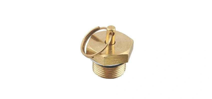 Drain Valve / Water Drain Plug